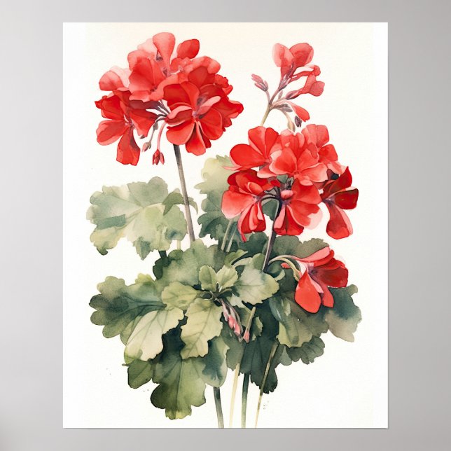 Red Geranium Flowers Art Impressão Poster (Frente)