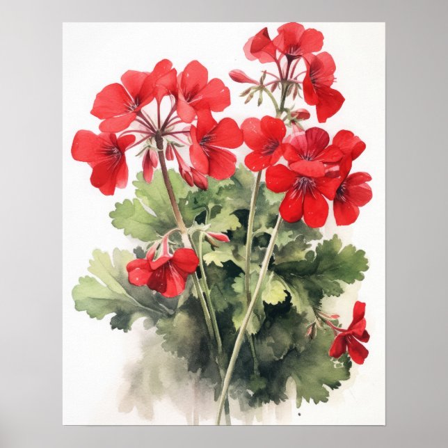 Red Geranium Flowers Art Impressão Poster (Frente)