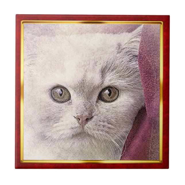 Red & Gold Framed Abstract Cat Print (Frente)