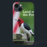Red-headed Woodpecker<br><div class="desc">Red-headed woodpecker at a backyard bird feeder with an American flag. Photo submitted by a Birds & Blooms reader. Birds & Blooms is the #1 bird and garden magazine in North America. We pride ourselves in celebrating the “beauty in your own backyard” cover a wide range of topics such as...</div>