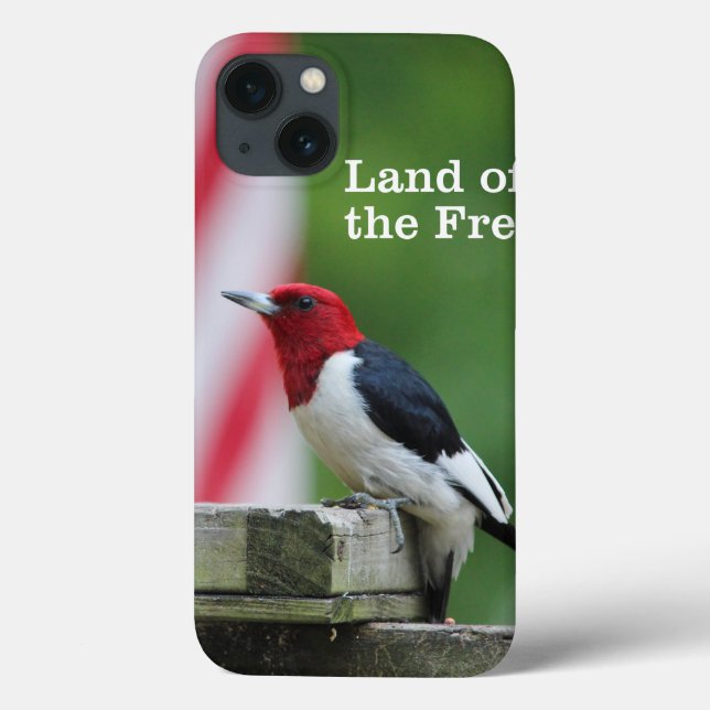 Red-headed Woodpecker (Verso)