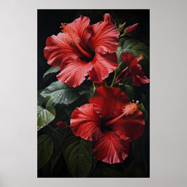 Red Hibiscus Flower Art Poster