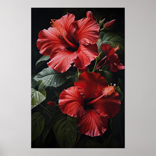 Red Hibiscus Flower Art Poster (Frente)