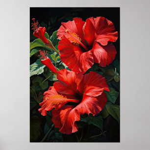 Red Hibiscus Flower Art Poster
