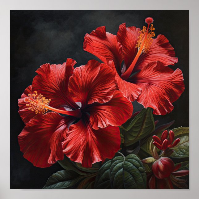 Red Hibiscus Flower Art Poster (Frente)