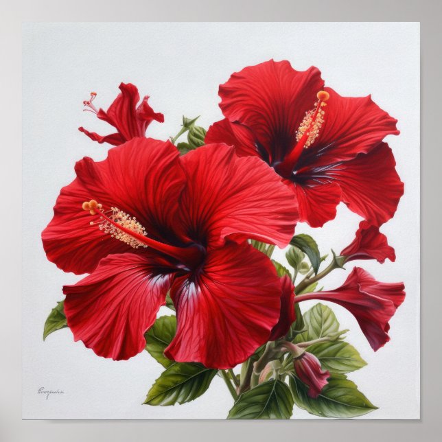 Red Hibiscus Flower Art Poster (Frente)