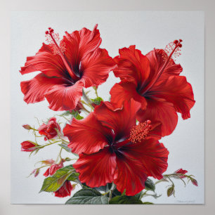 Red Hibiscus Flower Art Poster