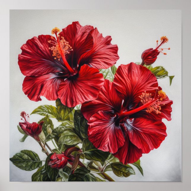 Red Hibiscus Flower Art Poster (Frente)
