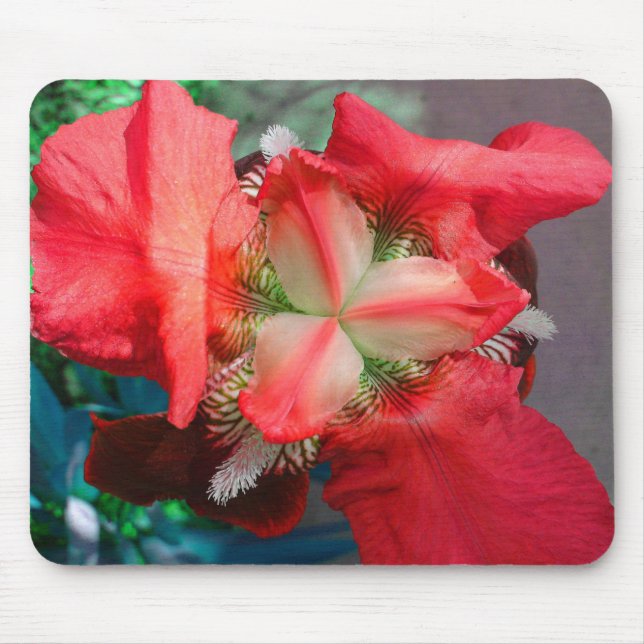 Red Iris Mousepad (Frente)