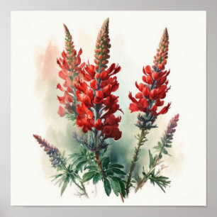 Red Lupine Flower Art Impressão