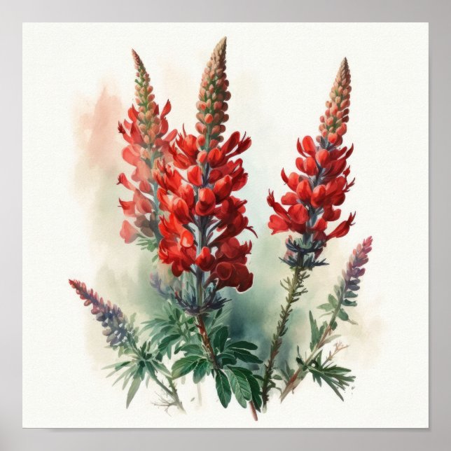 Red Lupine Flower Art Impressão (Frente)
