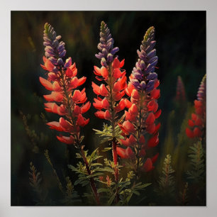 Red Lupine Flower Art Impressão