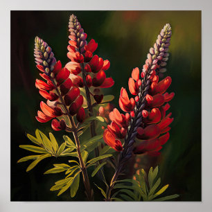 Red Lupine Flower Art Impressão