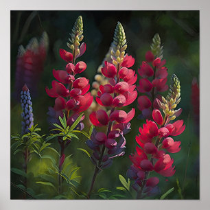 Red Lupine Flower Art Impressão