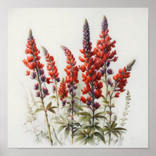 Red Lupine Flower Art Impressão