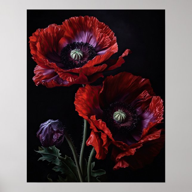 Red Oriental Poppy Flowers Art Impressão Poster (Frente)
