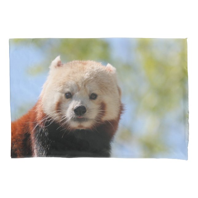 Red Panda (Frente)