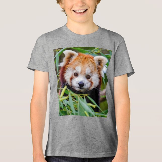 Red Panda (Frente)