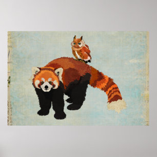 Red Panda & Owl Art Poster