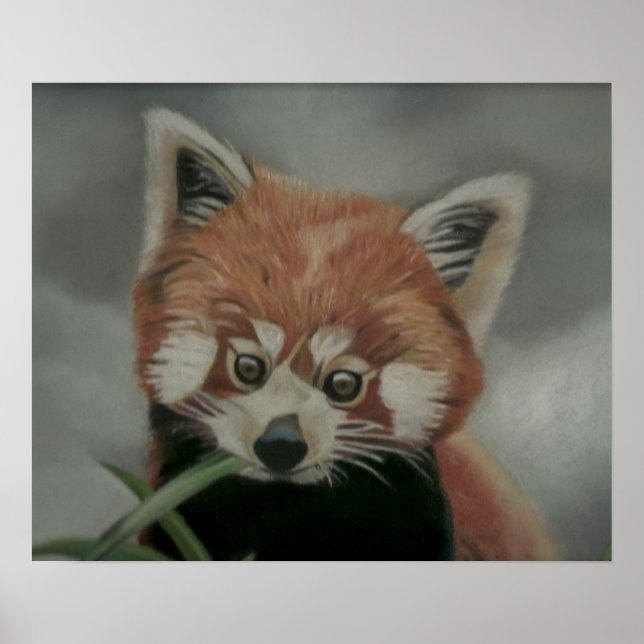 Red Panda Pastel Painting Artwork Poster (Frente)