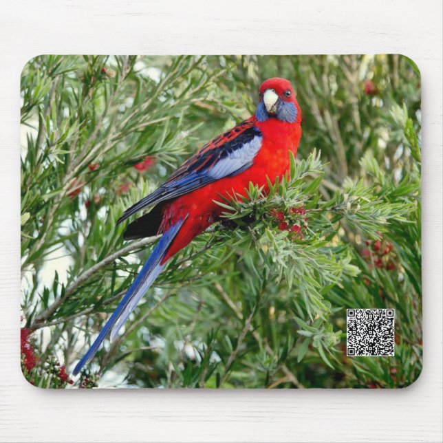Red Parrot Mousepad (Frente)