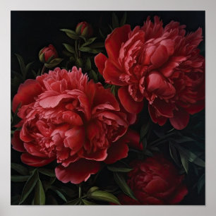 Red Peonies Flower Art Impressão Poster