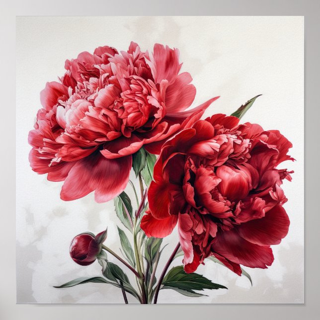 Red Peonies Flower Art Impressão Poster (Frente)