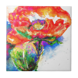 Red Poppy