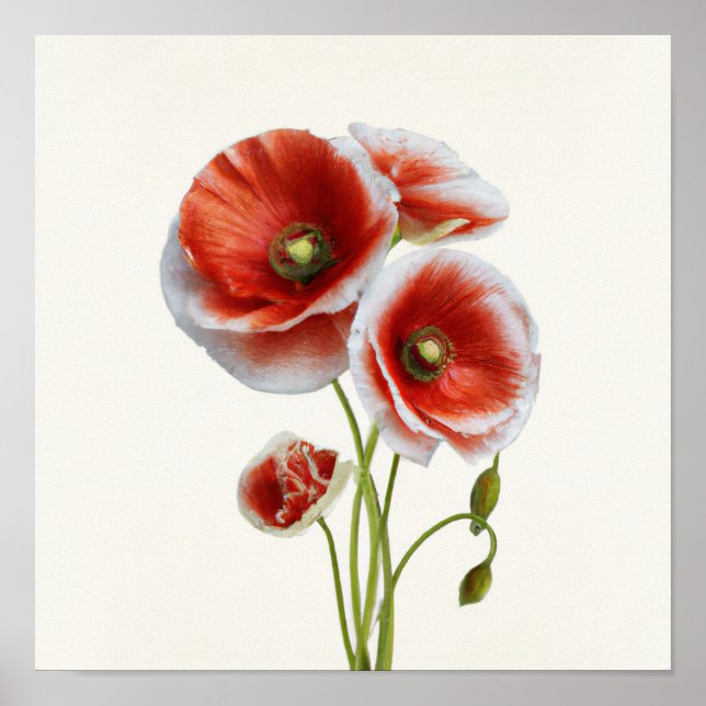 Red Poppy Flowers Art Impressão (Frente)