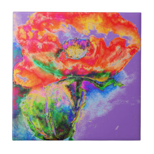 Red Poppy - púrpura