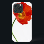 Red Poppy Simplicity<br><div class="desc">Solteiro Red Poppy Flower,  presente de olhos para amantes de papoila. Outros produtos pesquisam sob o mesmo título "Simplicidade de Papoula". Obrigado.</div>