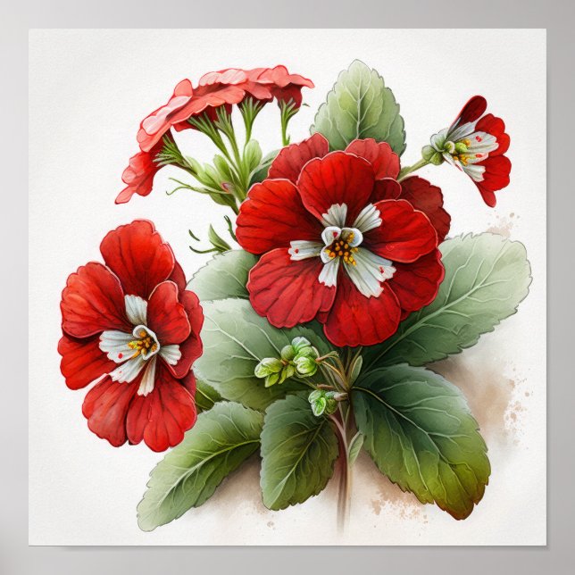 Red Primrose Flowers Art Impressão (Frente)