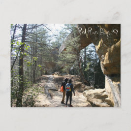 Red River Gorge, KY - Cartão postal Skybridge