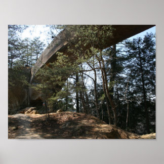 Red River Gorge, KY - Skybridge poster