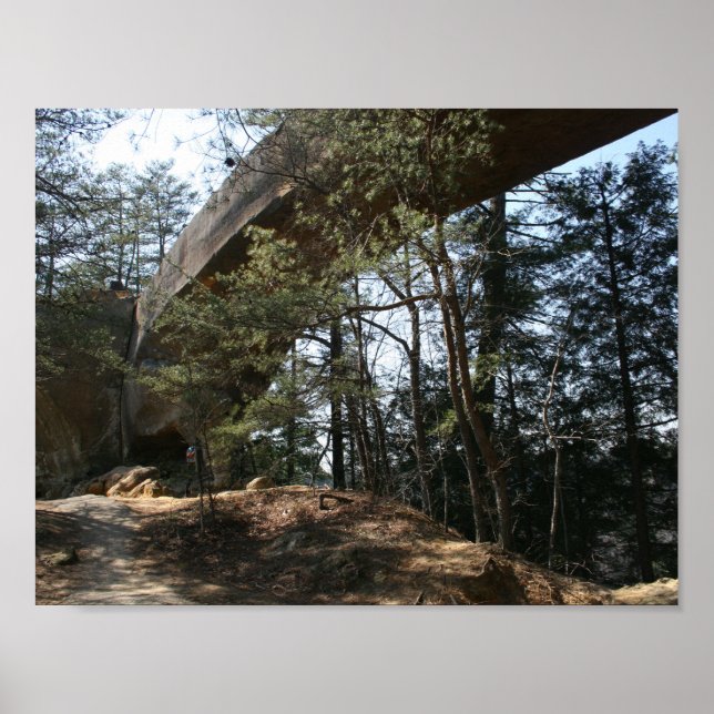 Red River Gorge, KY - Skybridge poster (Frente)