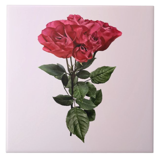 Red Roses and Leaves (Frente)