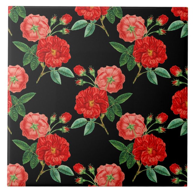 Red Roses, Black Background, (Frente)