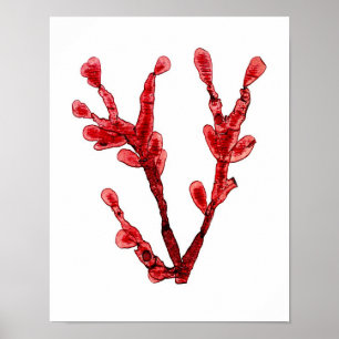 Red Seaweed Art Impressão No.8 Beach Decor