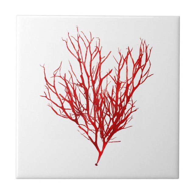 Red Seaweed Art n.º 10 Praia Decor (Frente)