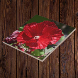 Red Swamp Hibiscus Bloom Floral