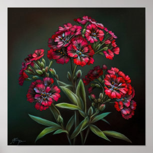 Red Sweet William Flower Art Impressão Poster