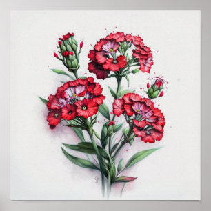 Red Sweet William Flower Art Impressão Poster
