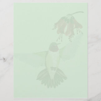 Red Throated Hummingbird2 letterhead_vertical