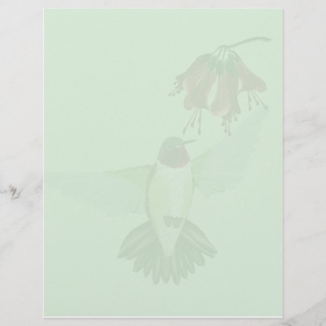 Red Throated Hummingbird2 letterhead_vertical (Frente)