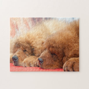 Red Tibetan Mastiff dog Jigsee Quebra-cabeça