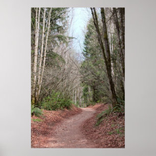 Red Town Path Impressão