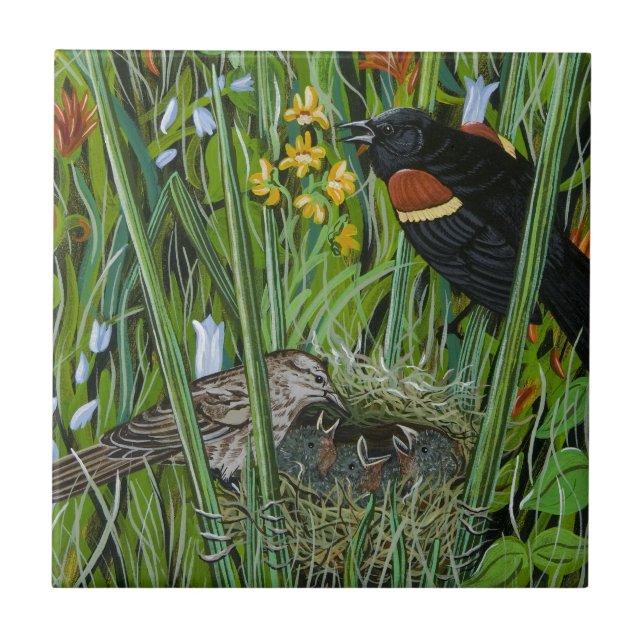 Red Wing Blackbird (Frente)