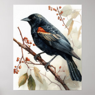 Red Wingbird Bird Art Impressão