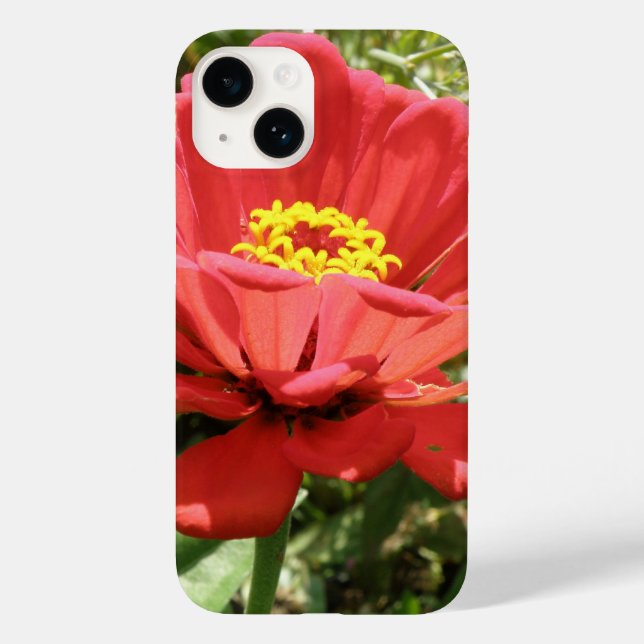 Red Zinnia capa de iphone 4 (Verso)