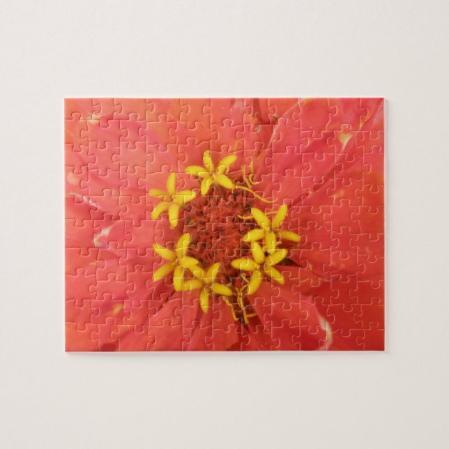 Red Zinnia Macro Quebra-cabeça (Horizontal)